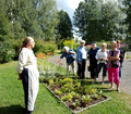 Puutarharetki syyskuussa 2014 suuntautui Kangasniemelle. 11 henkilöä tutustui Tuomiojan Tarhaan, Arjan ja Jounin kotipuutarhaan sekä Pirtin perinnepuistoon, josta oheinen kuva. 